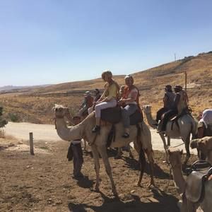 Meet your Posher, Beverly